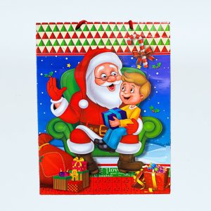 BOLSA REGALO C/MANILLA GRANDE