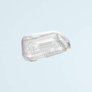 CAJA PP DESECHABLE TRANSPARENTE CUAD. C/T (10 U)